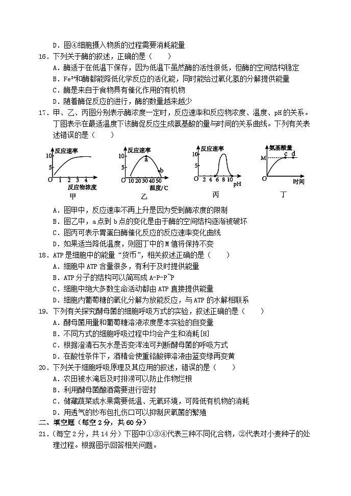 四川省2023_2024学年高一生物上学期12月月考试题第3页