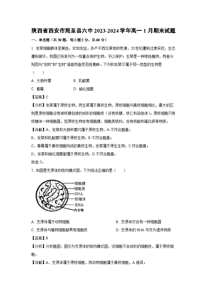 2023~2024学年陕西省西安市周至县六中高一上1月期末生物试卷（解析版）第1页