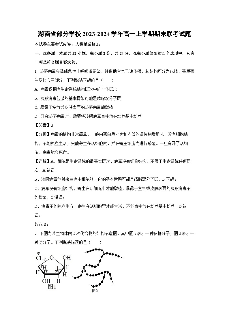 2023~2024学年湖南省部分学校高一上学期期末联考生物试卷（解析版）第1页