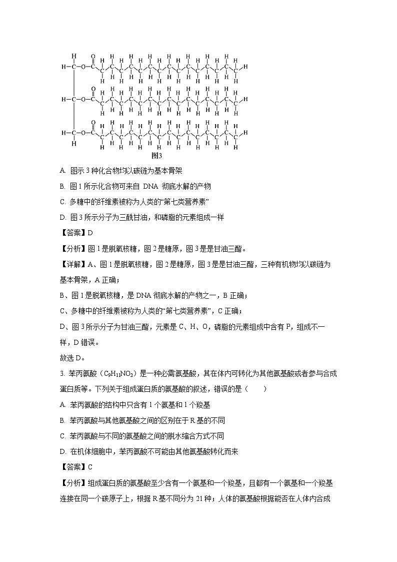 2023~2024学年湖南省部分学校高一上学期期末联考生物试卷（解析版）第2页