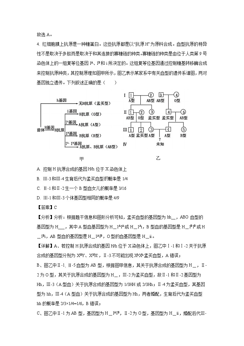 2024~2025学年湖北鄂东南联盟高二上学期期中联考生物试卷（解析版）第3页