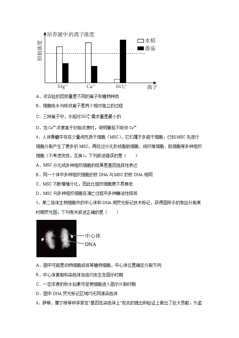 2024~2025学年贵州省贵阳市第一中学等高三上学期高考适应性月考卷（三）生物试卷（解析版）第2页