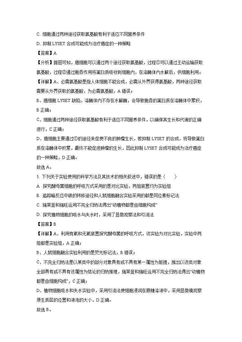 2023~2024学年福建省龙岩市新罗区一中高一上学期第三次月考生物试卷（解析版）第3页
