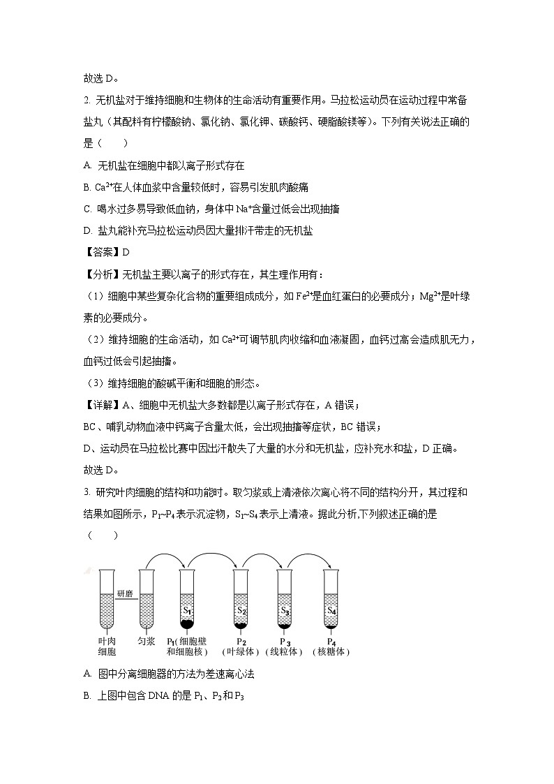 2024~2025学年福建省福州十校高三上学期期中考试生物试卷（解析版）第2页