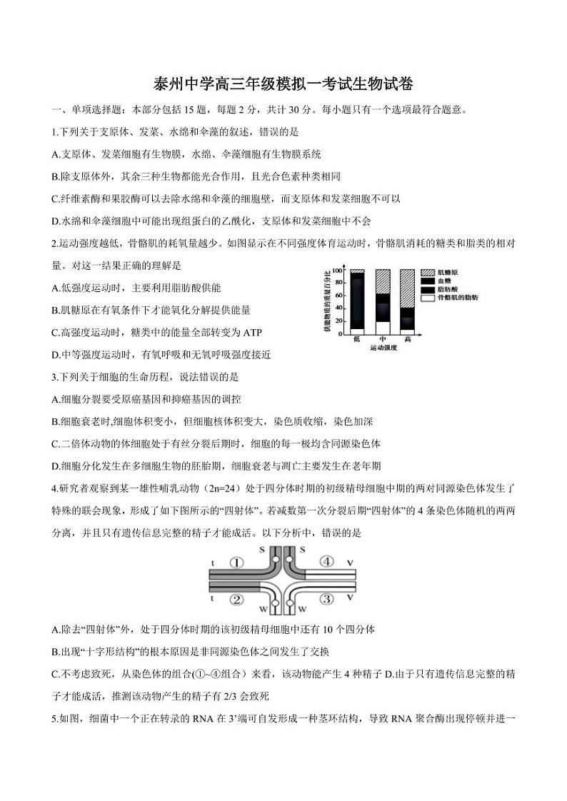 江苏省泰州中学2025届高三上学期高考一模试题-生物试题+答案第1页
