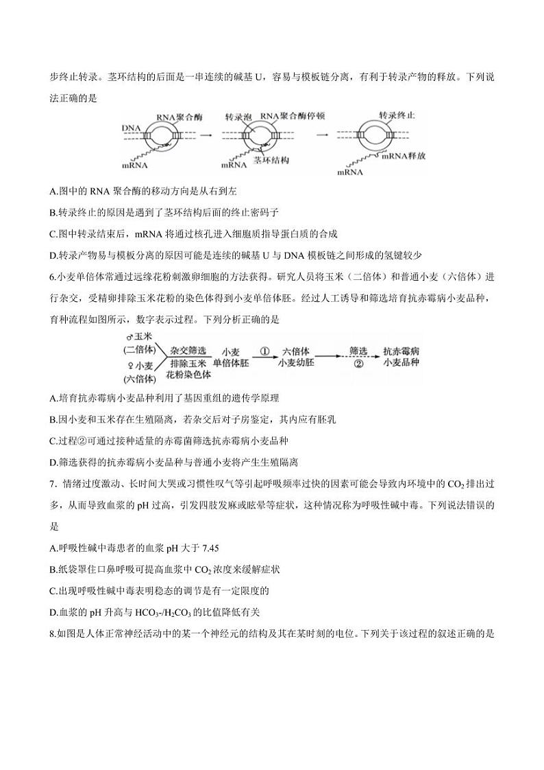 江苏省泰州中学2025届高三上学期高考一模试题-生物试题+答案第2页