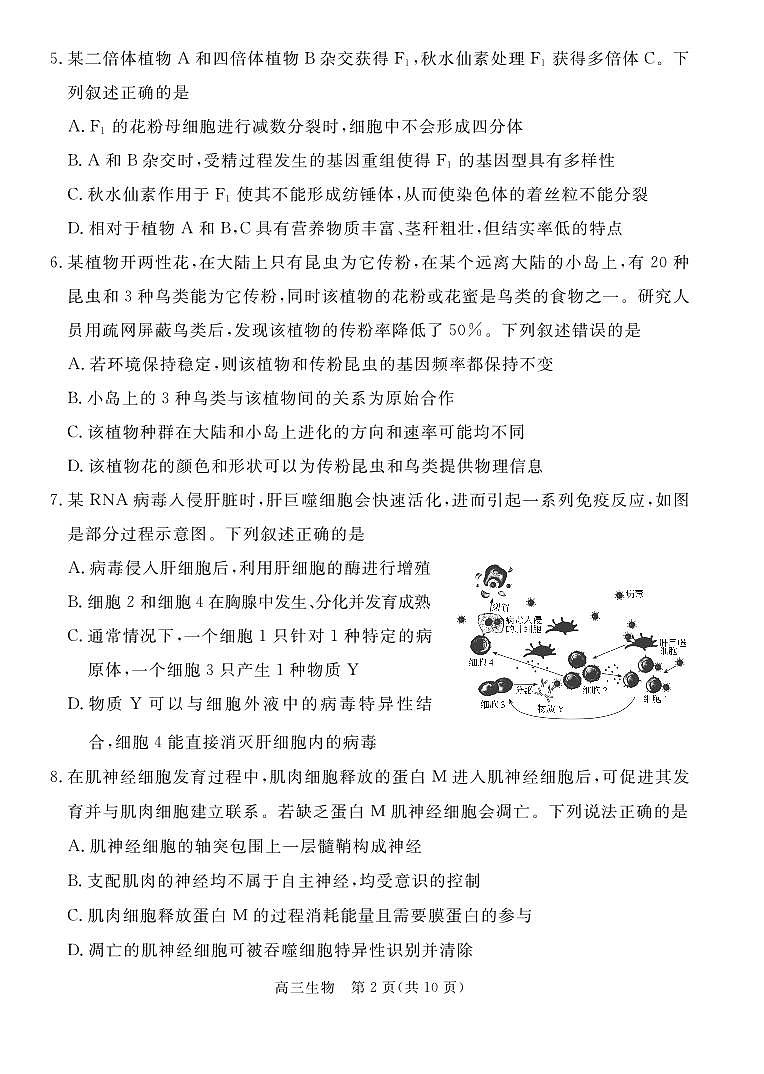 河北省张家口市2024~2025学年高三上学期期末教学质量监测生物第2页