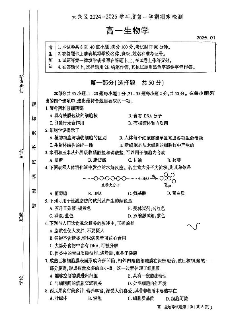 2025北京大兴高一（上）期末生物试卷第1页