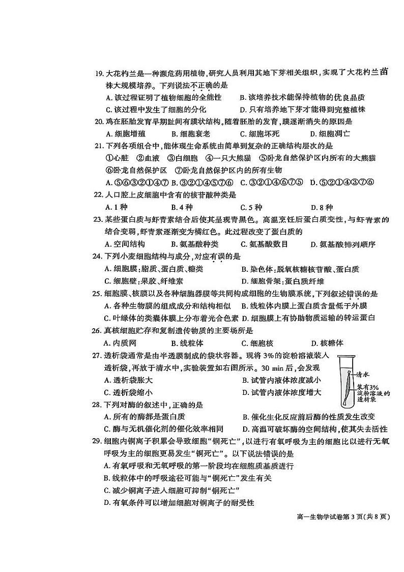 2025北京大兴高一（上）期末生物试卷第3页