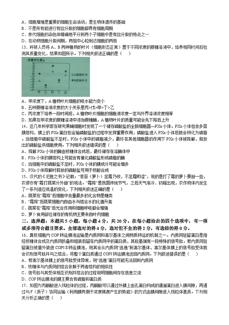 湖南省长沙市宁乡市2024-2025学年高一上学期期末考试生物试卷（Word版附答案）第3页