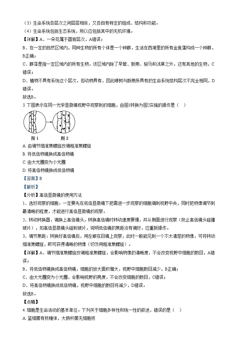 四川省成都市第十二中学（四川大学附属中学）2024-2025学年高一上学期12月期末模拟生物试卷（Word版附解析）第2页