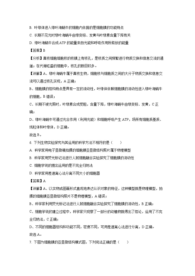 2024~2025学年广西部分名校高一上学期12月联合检测生物试卷（解析版）第3页