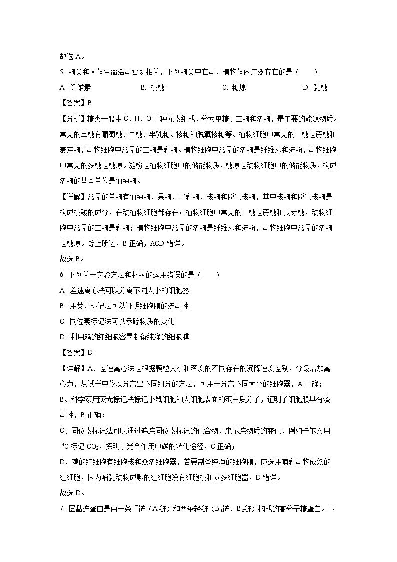 2024~2025学年广西柳州市高中高一上学期12月联考 生物试卷（解析版）第3页