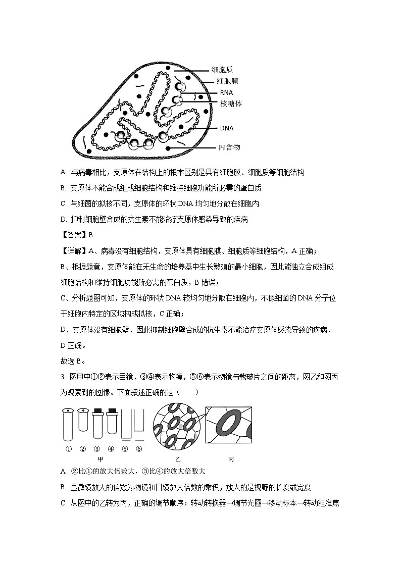 2024~2025学年海南省海口市某校高一上学期12月月考生物试卷（解析版）第2页
