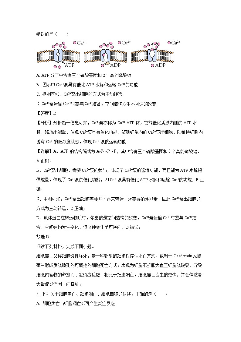2024~2025学年浙江省衢州五校联盟高二上学期期中联考生物试卷（解析版）第3页