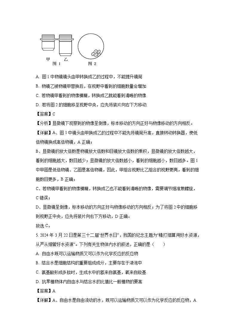 2024~2025学年河南省平顶山市叶县高级中学高一上学期11月月考生物试卷（解析版）第3页
