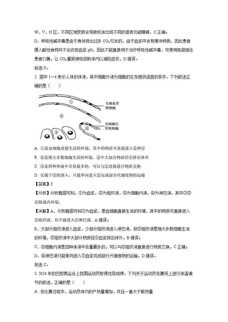 2024~2025学年河北省邢台市质检联盟高二上学期11月期中生物试卷（解析版）第2页