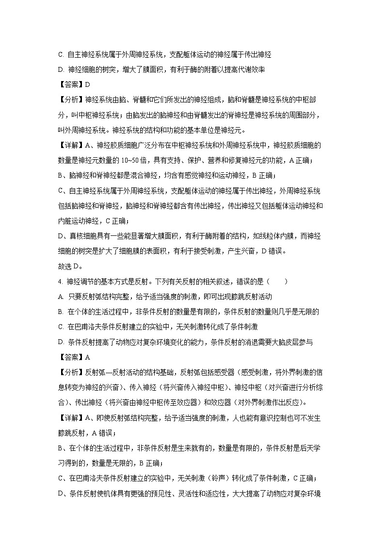 2024~2025学年河北省邢台市名校联合体高二上学期11月期中生物试卷（解析版）第3页