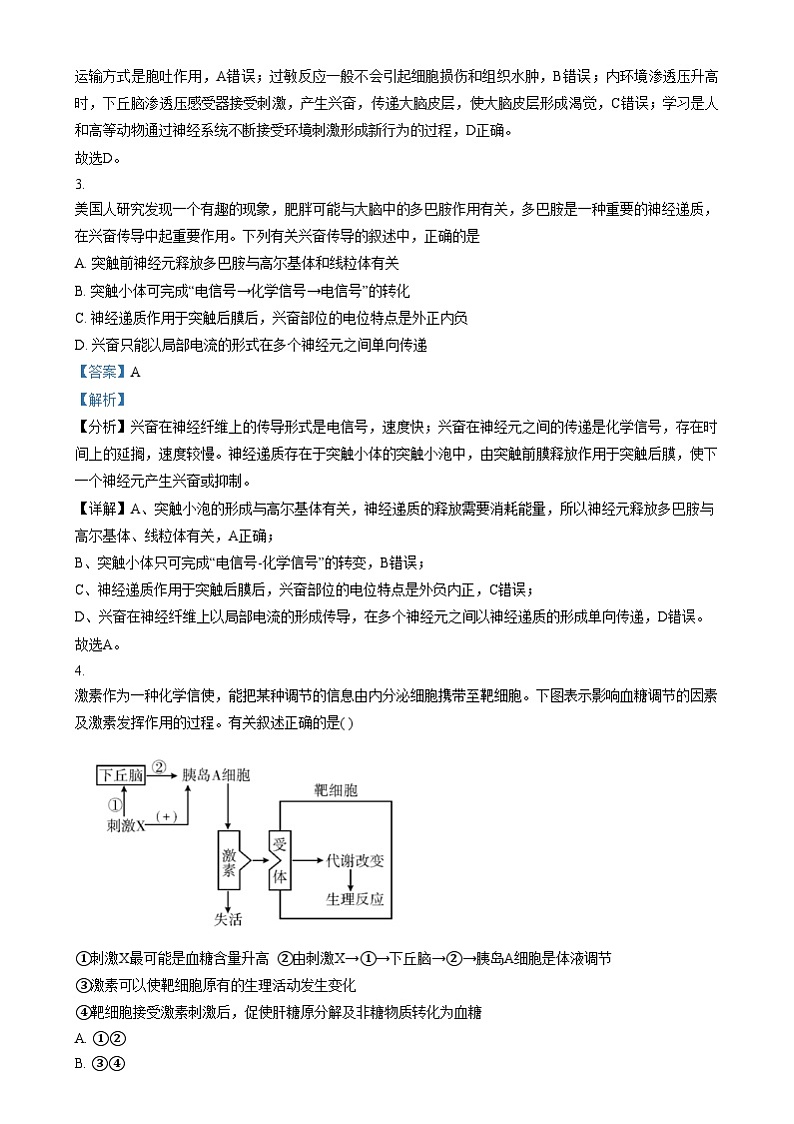 四川省绵阳市三台中学2024-2025学年高二上学期期末适应性考试生物试卷（Word版附解析）第2页