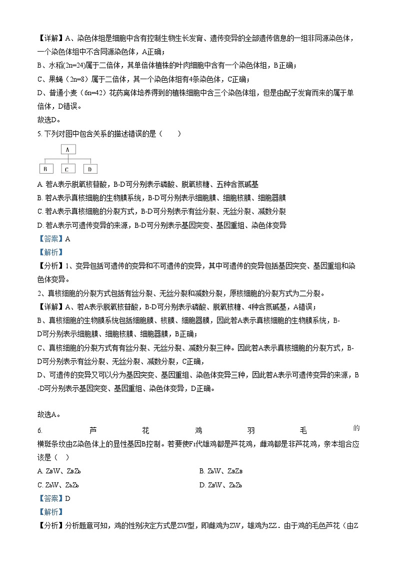 四川省荣县中学2024-2025学年高二上学期入学考试生物试卷（Word版附解析）第3页