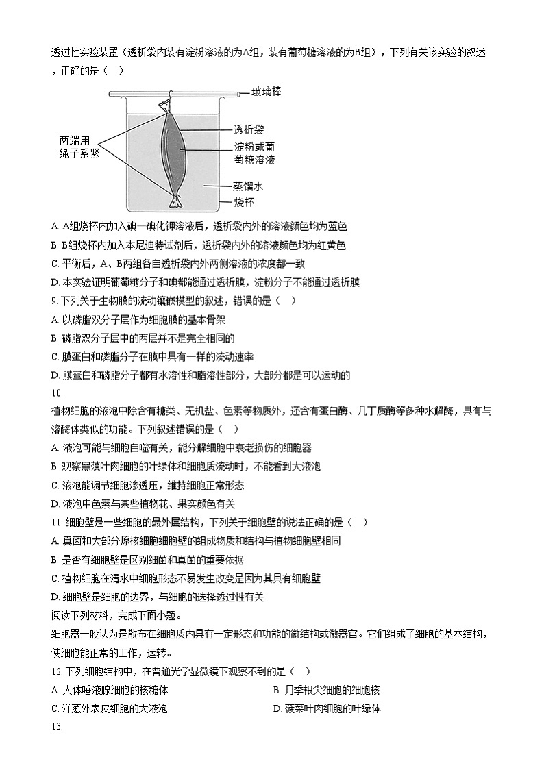 浙江省”南太湖“联盟2024-2025学年高一上学期第一次联考生物试题   Word版无答案第2页