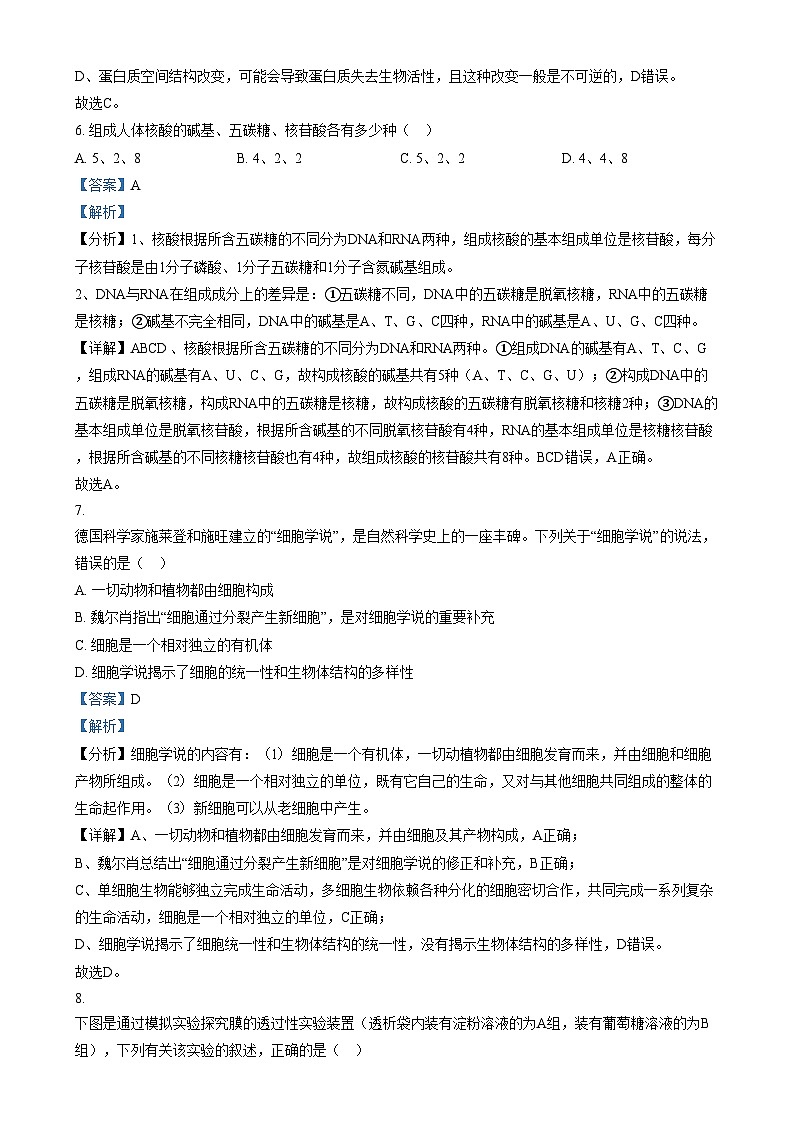 浙江省”南太湖“联盟2024-2025学年高一上学期第一次联考生物试题   Word版含解析第3页