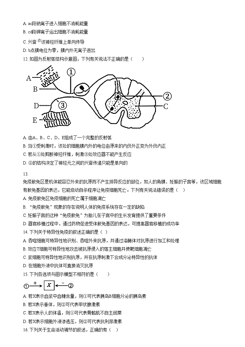 【2022】【高二上】【期中考】【杭二滨江 钱江】  Word版无答案第3页