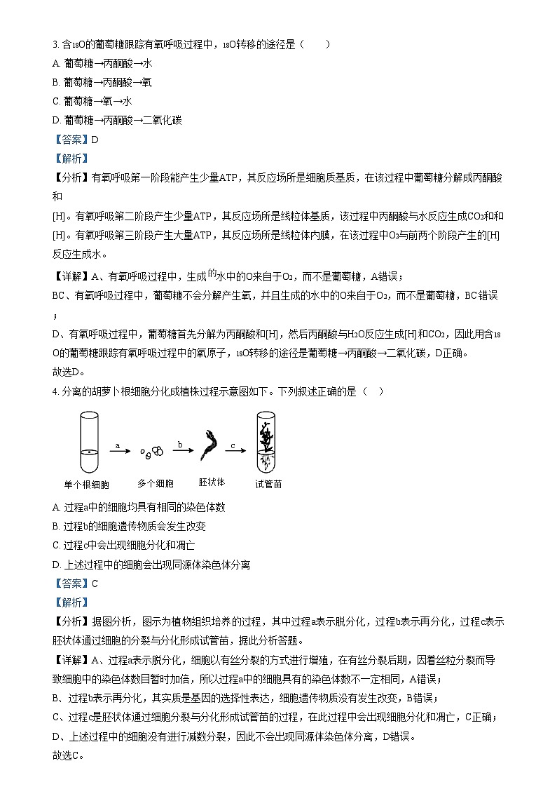 【2022】【高二上】【期中考】【杭四吴山】【高中生物】  Word版含解析第2页