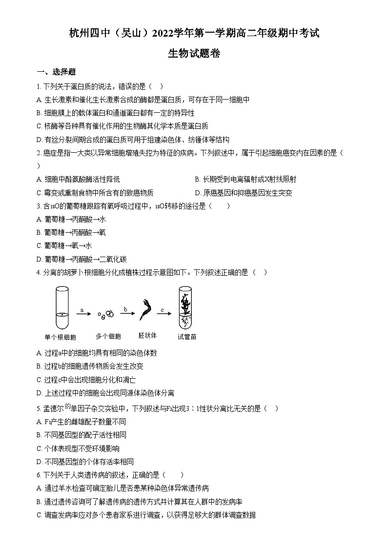 【2022】【高二上】【期中考】【杭四吴山】【高中生物】  Word版无答案第1页