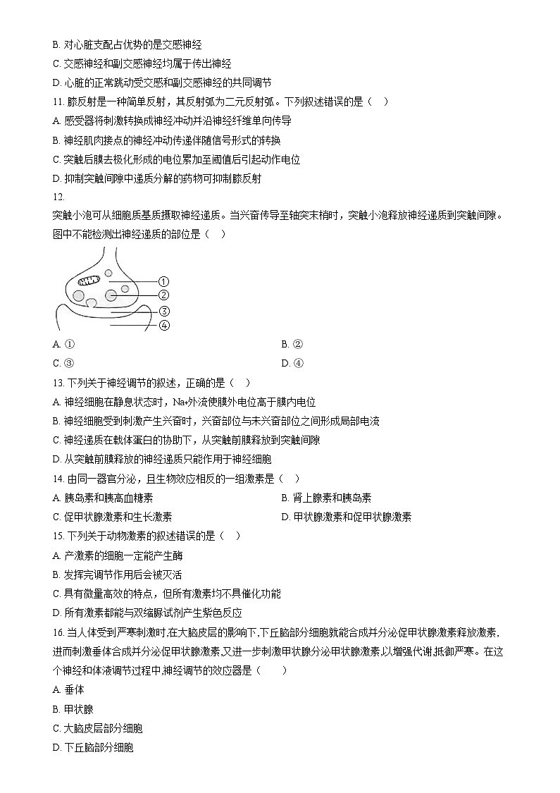 【2022】【高二上】【期中考】【杭四吴山】【高中生物】  Word版无答案第3页
