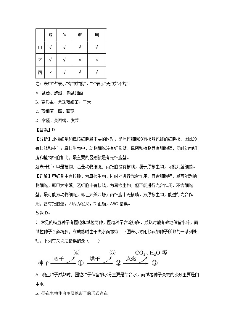 2024~2025学年吉林省松原市前郭五中高一上学期12月教学质量检测生物试卷（解析版）第2页