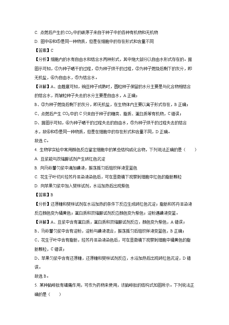 2024~2025学年吉林省松原市前郭五中高一上学期12月教学质量检测生物试卷（解析版）第3页