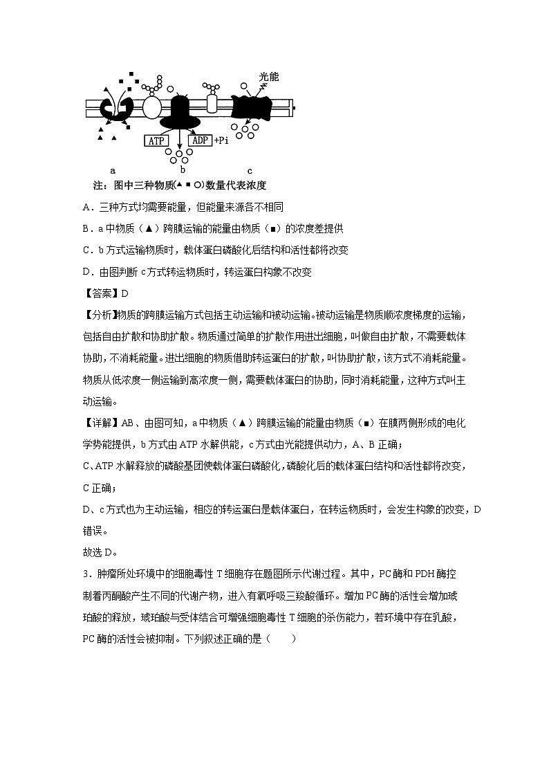 备战2025年高考模拟卷黄金卷06（安徽专用）生物试卷（解析版）第2页