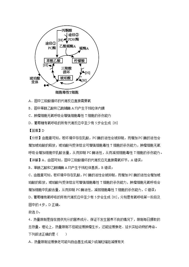 备战2025年高考模拟卷黄金卷06（安徽专用）生物试卷（解析版）第3页