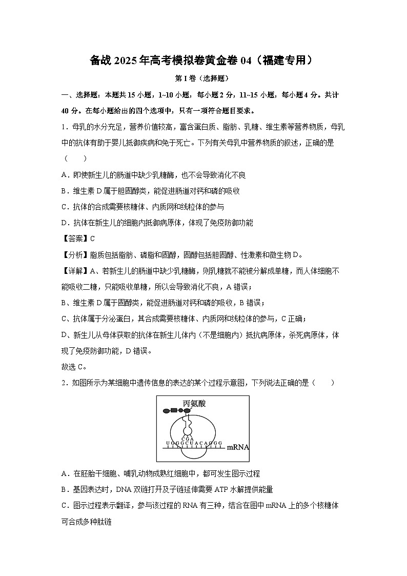 备战2025年高考模拟卷黄金卷04（福建专用）生物试卷（解析版）第1页
