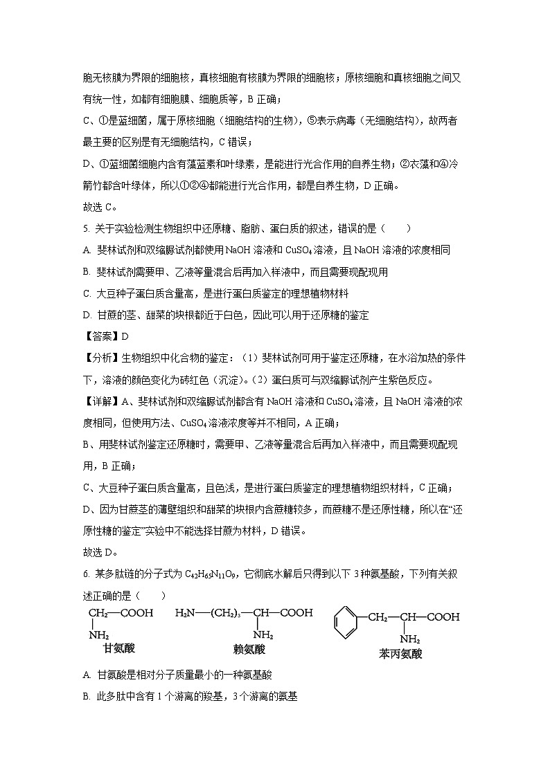 2024~2025学年四川省眉山市仁寿县高一上学期11月期中校际联考生物试卷（解析版）第3页