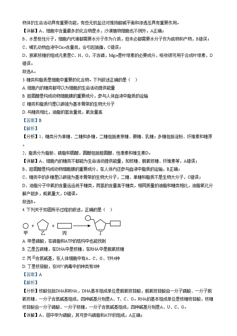 浙江省湖州市长兴县华盛高级中学2024-2025学年高一上学期12月月考生物试题  Word版含解析第2页