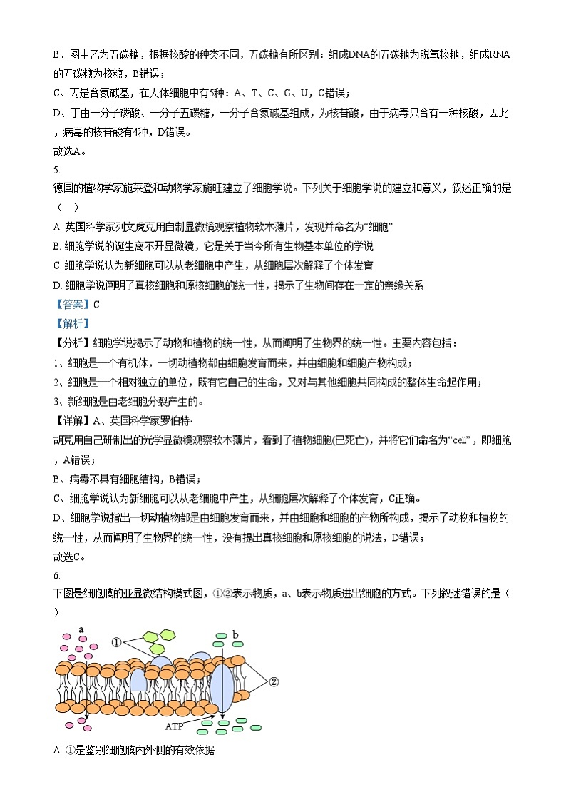 浙江省湖州市长兴县华盛高级中学2024-2025学年高一上学期12月月考生物试题  Word版含解析第3页