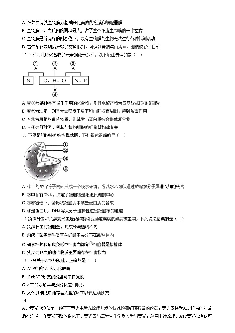 浙江省湖州市长兴县华盛高级中学2024-2025学年高一上学期12月月考生物试题  Word版无答案第3页