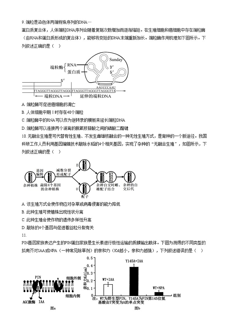 浙江省宁波市镇海中学2024-2025学年高三上学期12月选考模拟生物试题  Word版无答案第3页