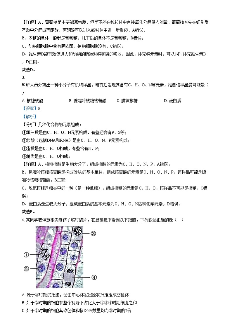 浙江省宁波市镇海中学2024-2025学年高三上学期12月选考模拟生物试题  Word版含解析第2页
