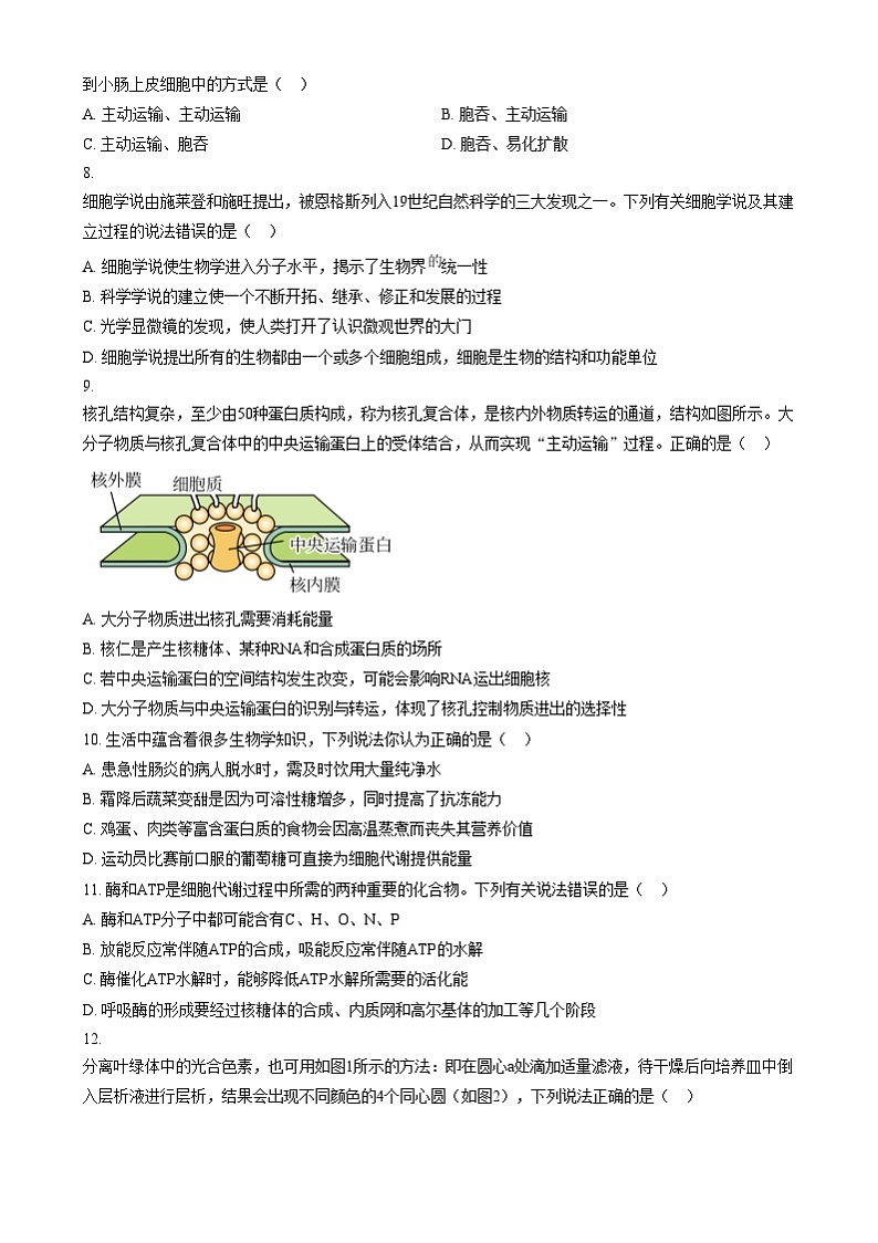 浙江省四校2024-2025学年高一上学期12月月考生物试题  Word版无答案第2页