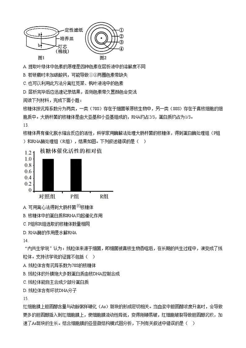 浙江省四校2024-2025学年高一上学期12月月考生物试题  Word版无答案第3页