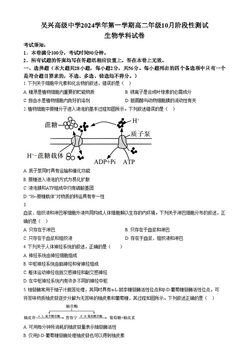 浙江省吴兴高级中学2024-2025学年高二上学期10月阶段性测试生物试题   Word版无答案第1页