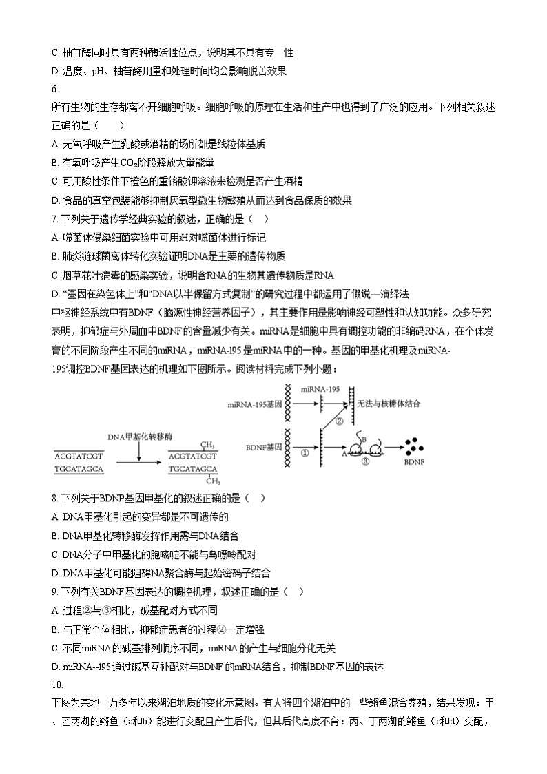 浙江省吴兴高级中学2024-2025学年高二上学期10月阶段性测试生物试题   Word版无答案第2页