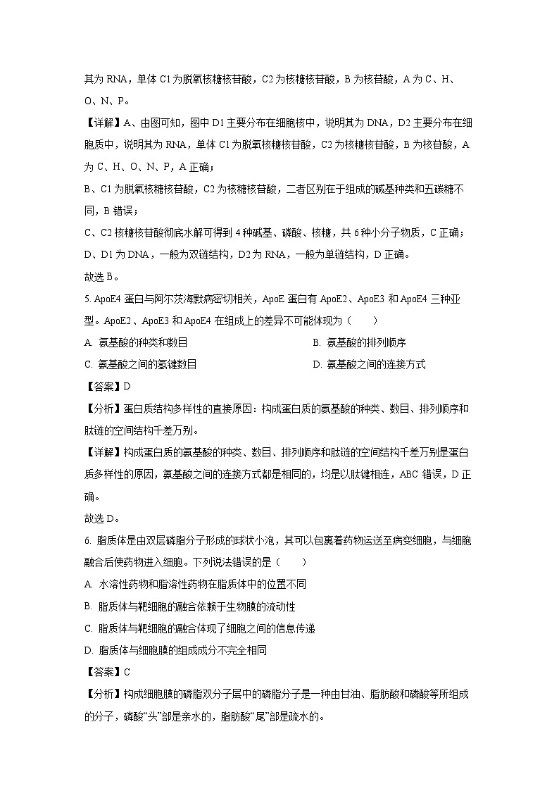 2024~2025学年云南省昆明市五华区高一上学期12月月考生物试卷（解析版）第3页