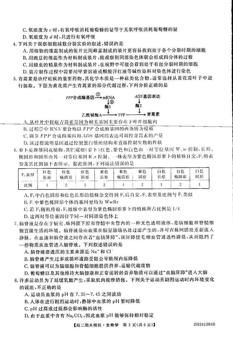 生物云南省文山壮族苗族自治州广南县第十中学校2024-2025学年上学期高三期末考试第2页