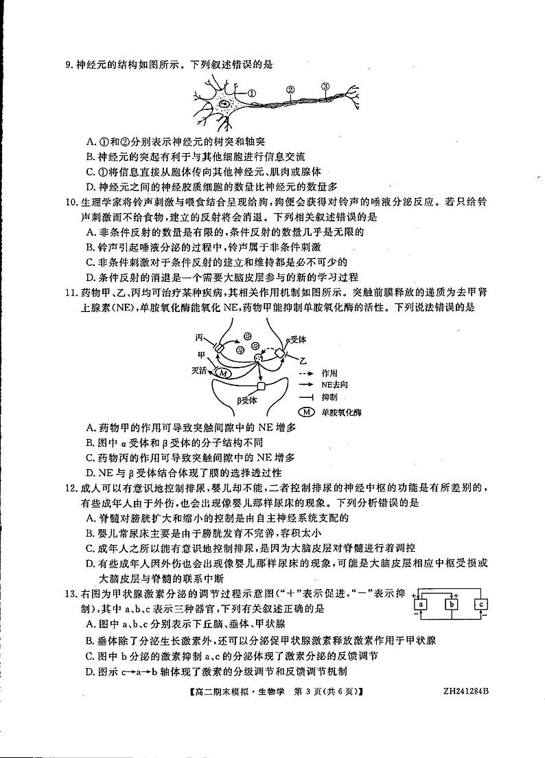生物云南省文山壮族苗族自治州广南县第十中学校2024-2025学年上学期高三期末考试第3页