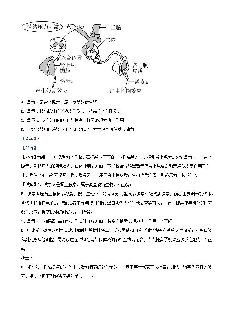 湖北省武汉市2023_2024学年高二生物上学期12月考试试题含解析第2页