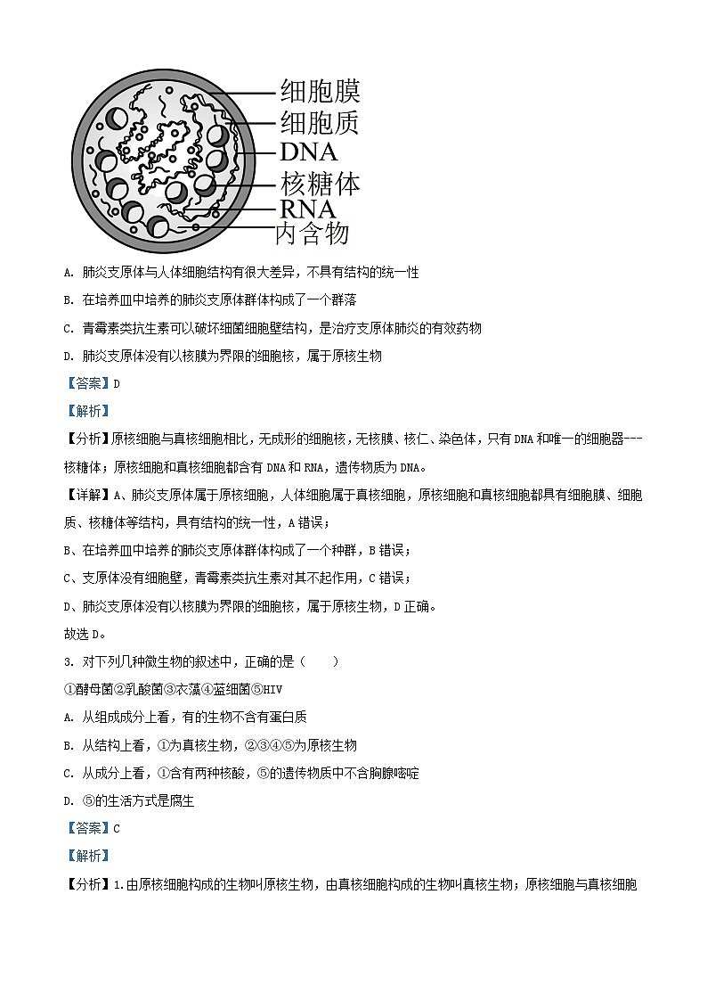 湖北省2023_2024学年高一生物上学期11月联考试题含解析第2页